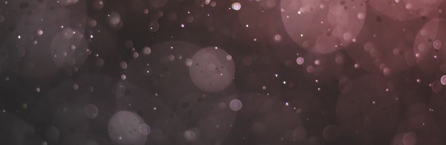 norrisl4214403 Cover Image
